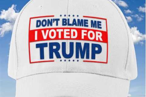 Free Don't Blame Me I Voted For Trump Hat - Insight Hiking