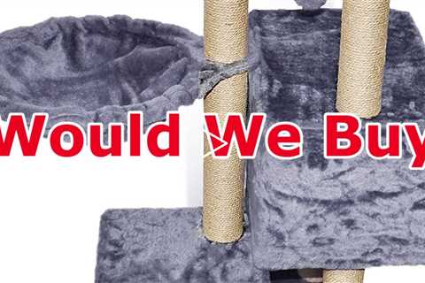 Review AIWIKIDE 002G Cat Tree has Scratching Toy with a Ball Activity Centre Cat Tower Furniture