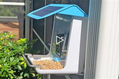 Lyfreen Smart Bird Feeder with Camera, Auto Motion Detection and AI Identify Bird Species