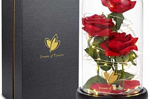 Dream of Flowers Beauty and The Beast Rose, Christmas Rose Gifts with LED Lights and Falling Petals,..