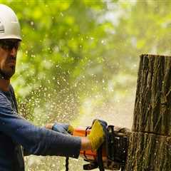 What does isa stand for arborist?
