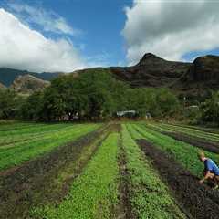 Organic Farming on Oahu: What Soil Amendments are Used to Ensure Quality and Safety?