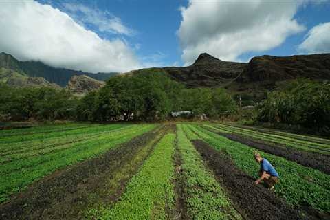 Organic Farming on Oahu: What Soil Amendments are Used to Ensure Quality and Safety?