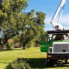 The Advantages Of Hiring A Tree Service Company With High-Quality Tree Service Equipment In Leesburg