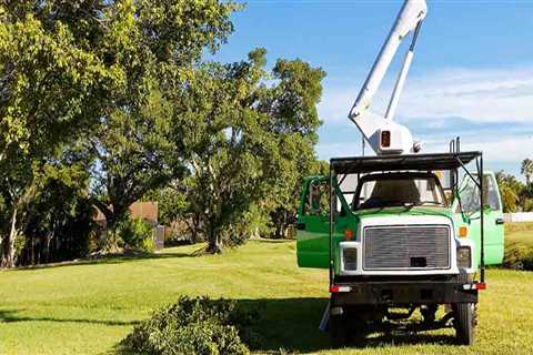 The Advantages Of Hiring A Tree Service Company With High-Quality Tree Service Equipment In Leesburg