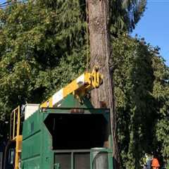 Safety And Efficiency: Exploring Equipment For Emergency Tree Services In Oregon City