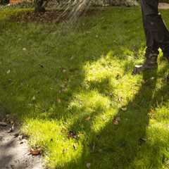 The Importance of Watering Your Lawn After Applying Lawn Care Products