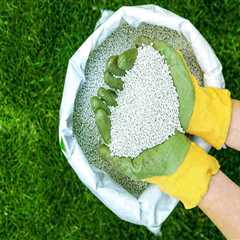 Choosing the Right Lawn Care Products for Your Specific Type of Grass