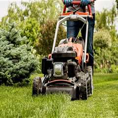 Mixing Different Types of Lawn Care Products: Expert Insights