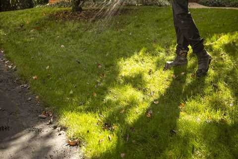 The Importance of Watering Your Lawn After Applying Lawn Care Products