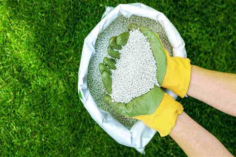 Choosing the Right Lawn Care Products for Your Specific Type of Grass