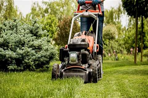 Mixing Different Types of Lawn Care Products: Expert Insights