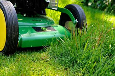 The Ultimate Guide to Storing Lawn Care Products