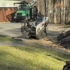 Perks Of Hiring A Lawn Care Company With Expertise In Tree Service Equipment In Derry, New Hampshire