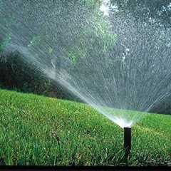 How Tree Service Equipment Influences Omaha Sprinkler System Pricing