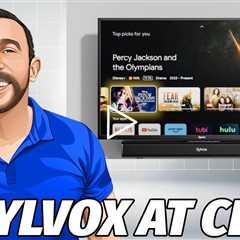 Adam's Sylvox Experience at CES!  100% Waterproof Outdoor TVsWithstand All Weather!