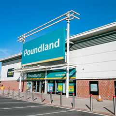 Bargain basement: Poundland about to be flogged for a measly quid as stores vanish across Britain