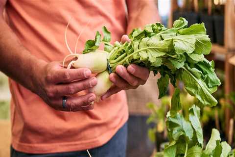 Exploring the Local Food Scene in Deschutes County, Oregon