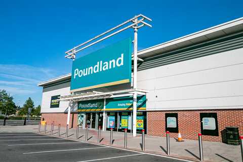 Bargain basement: Poundland about to be flogged for a measly quid as stores vanish across Britain