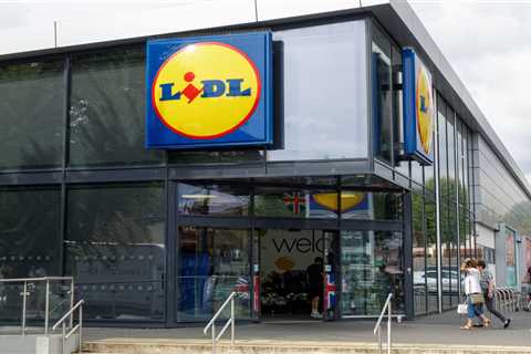 Found This £30 Lidl Fan That's Making Me Question Everything I Know About Summer Shopping