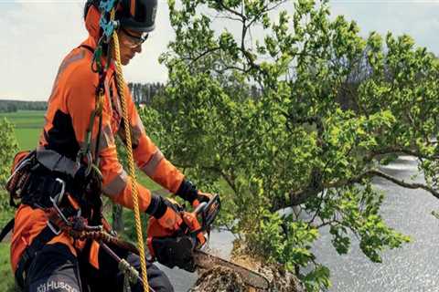 From Demo to Display: Arborist Tools That Steal the Show at Industry Events
