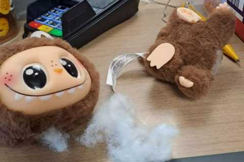 The Labubu Nightmare: How Fake Monster Dolls Are Putting Kids at Risk
