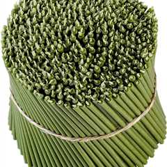 Danilovo Green Beeswax Taper Candles - Dripless & Soot-Free for Prayer & Rituals