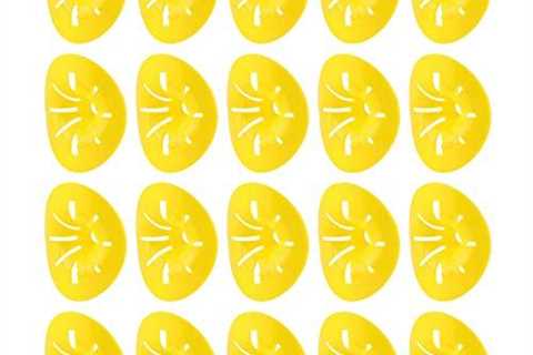 20PCS Flower-Shaped Bee and Wasp Traps