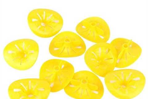 10 Pack Reusable Wasp Traps for Beekeeping