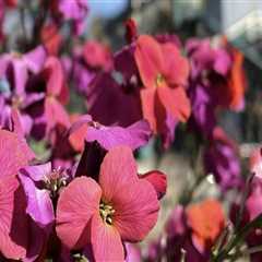 Discovering the Best Gift Shops for Personalized Gifts in Eugene, Oregon