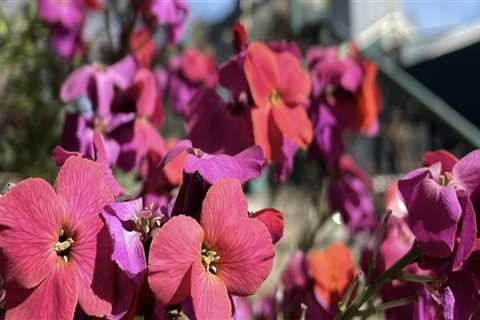 Discovering the Best Gift Shops for Personalized Gifts in Eugene, Oregon