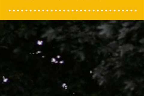 Keep your rental in top shape with damage-free solutions from Fix It Without the Fine. Say goodbye..