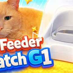 Cheerble Pet Feeder Match G1 - Edge-AI Visual Recognition for Multi-pet Families - APP Control
