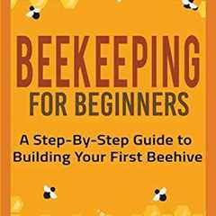 Beginner's Guide to Building Your First Beehive