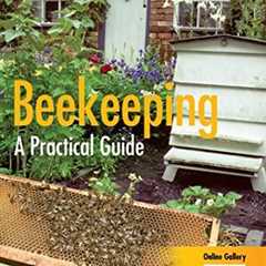 Beekeeping Made Easy: Your Practical Guide