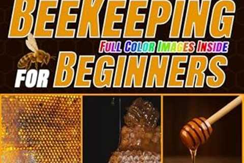 Beekeeping for Beginners: Your Hive Journey Simplified