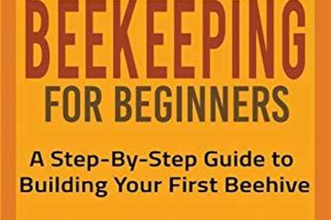Beginner's Guide to Building Your First Beehive