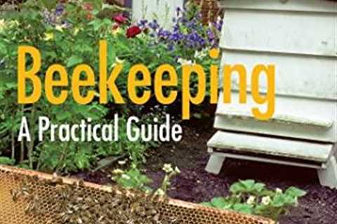 Beekeeping Made Easy: Your Practical Guide