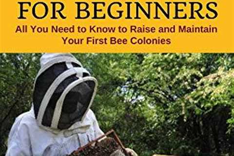 Beekeeping Basics: Start Your First Bee Colony